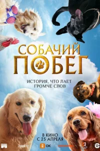 Собачий побег 